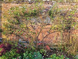 tourville-sur-arques (20)